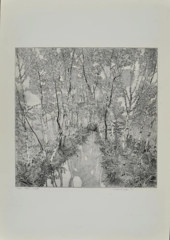 Ets Galli - Alberi malati