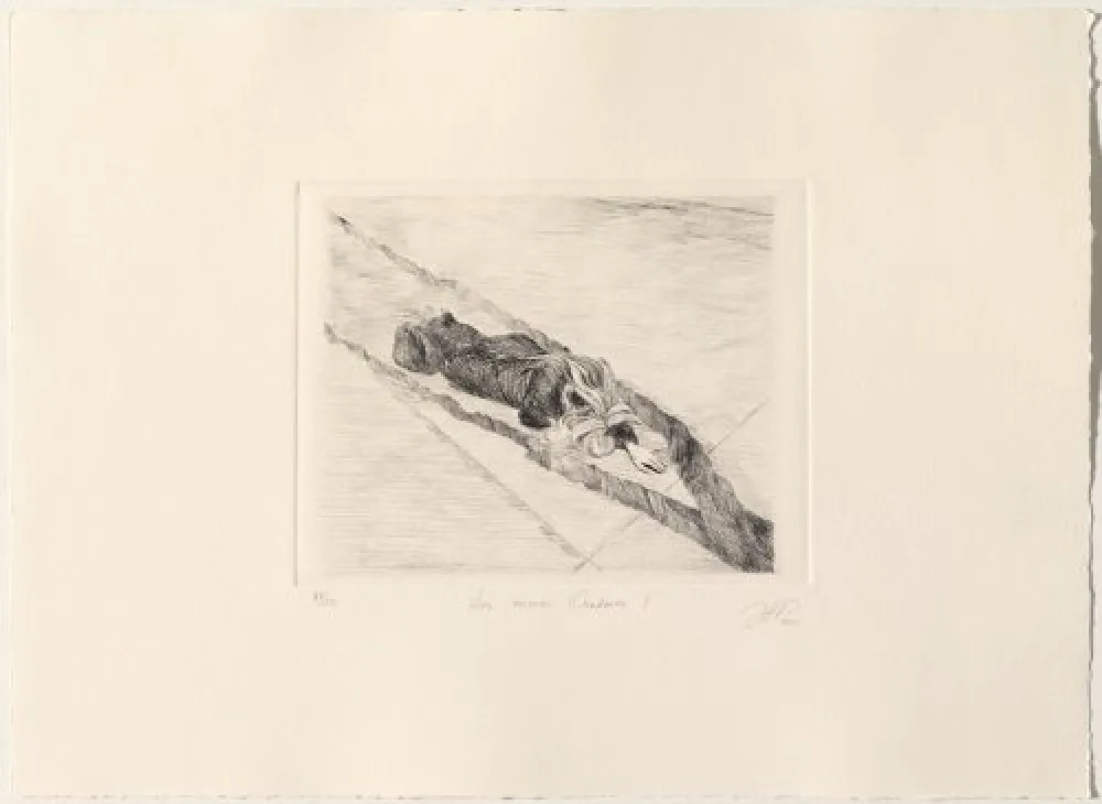 Droge Naald Gamarra - Los nuevos Oradores I