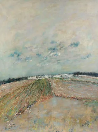 Geen Techniek Gantner - Neige fondante (Melting snow)