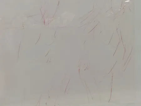 Lithografie Garache - 2 personates v