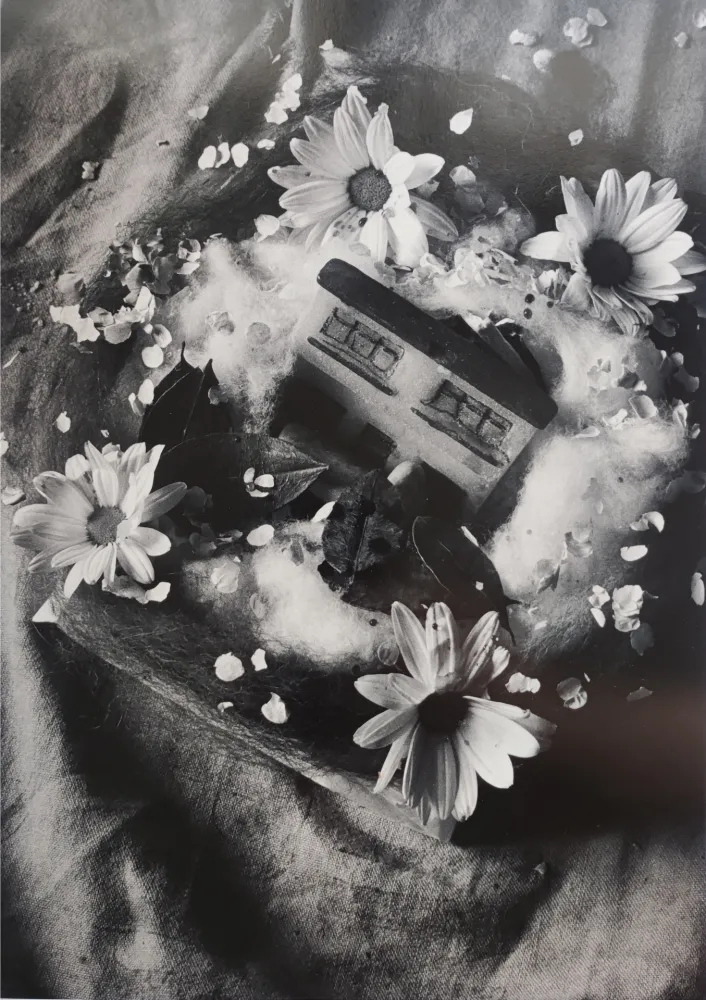 Fotografie Garduño - 