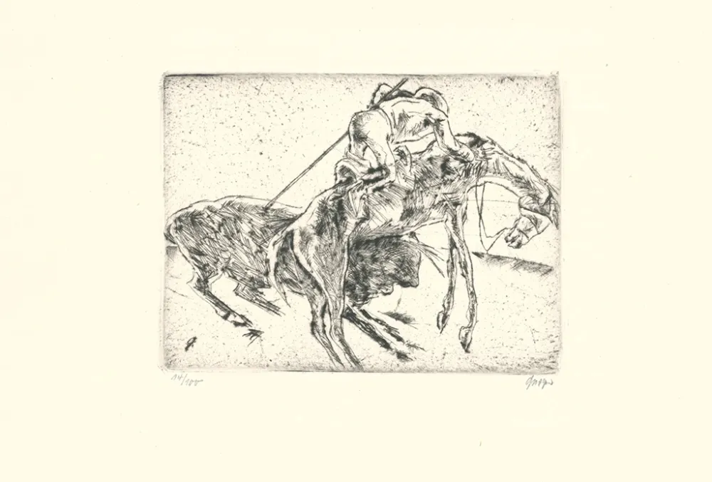 Ets Geiger - Picador