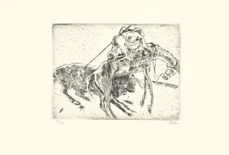 Ets Geiger - Picador