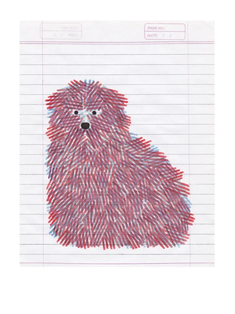 Digitale Print Gerner - Bouvier bichrome