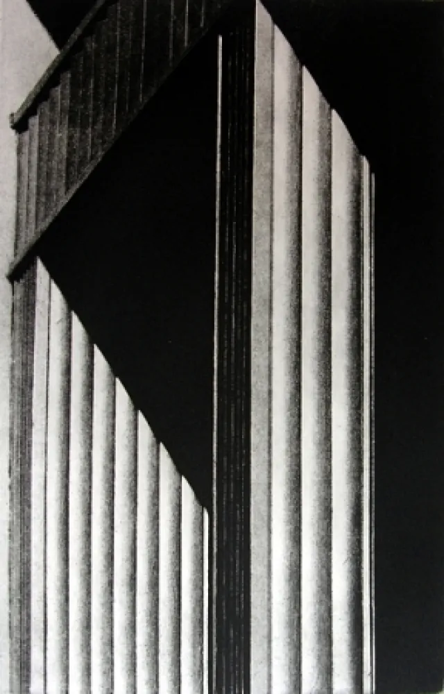 Geïllustreerd Boek Gibson - Metafora