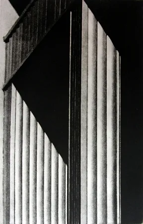 Geïllustreerd Boek Gibson - Metafora