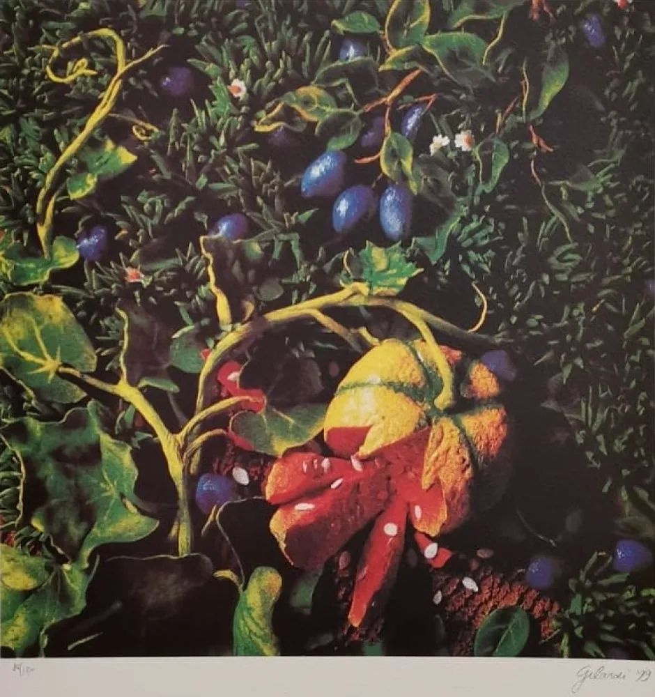 Zeefdruk Gilardi - Prugne con zucca