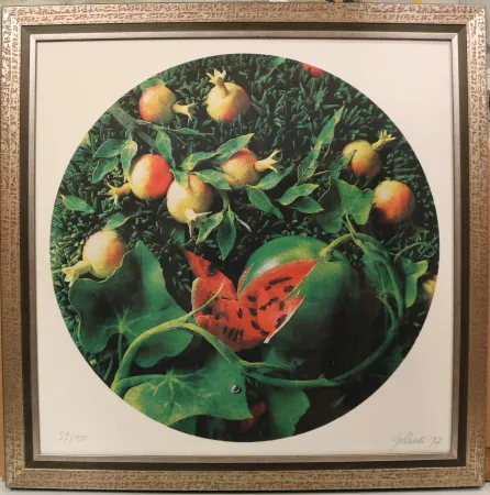 Zeefdruk Gilardi - Senza titolo