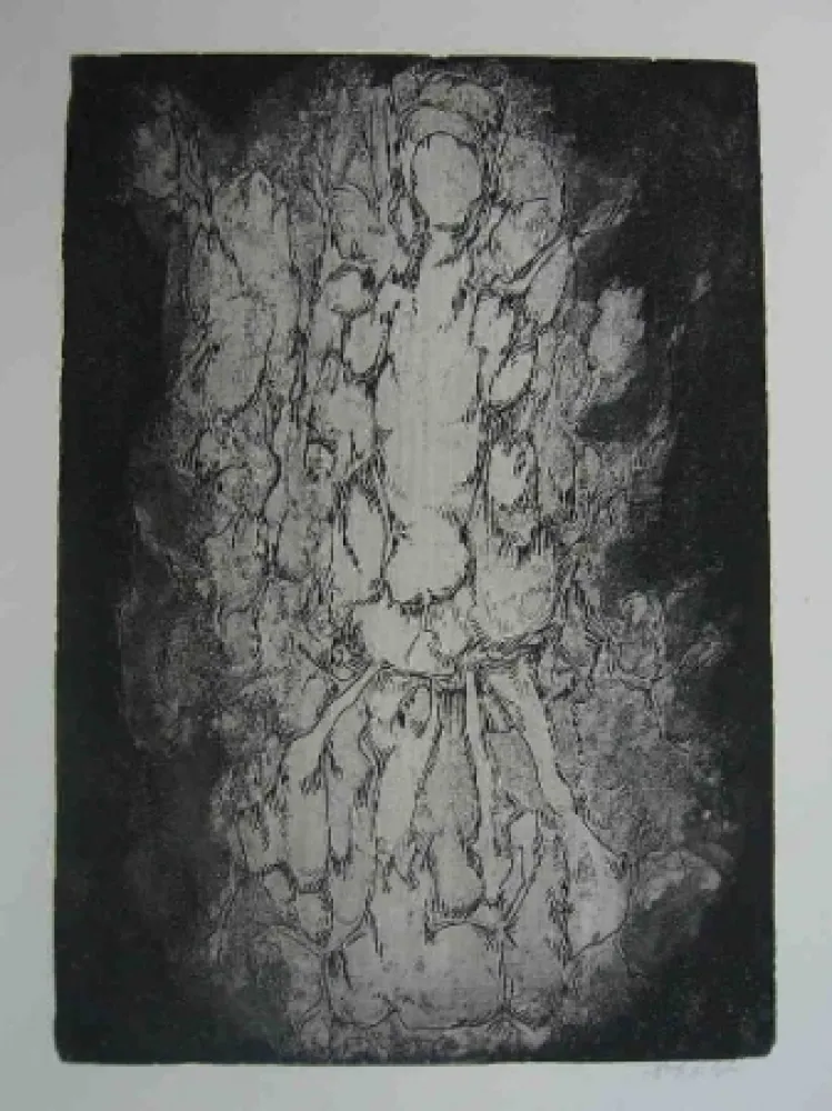 Ets Gillet - Nymphe des rats