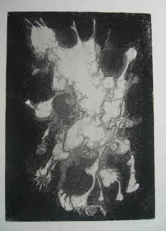 Ets Gillet - Nymphe des rats