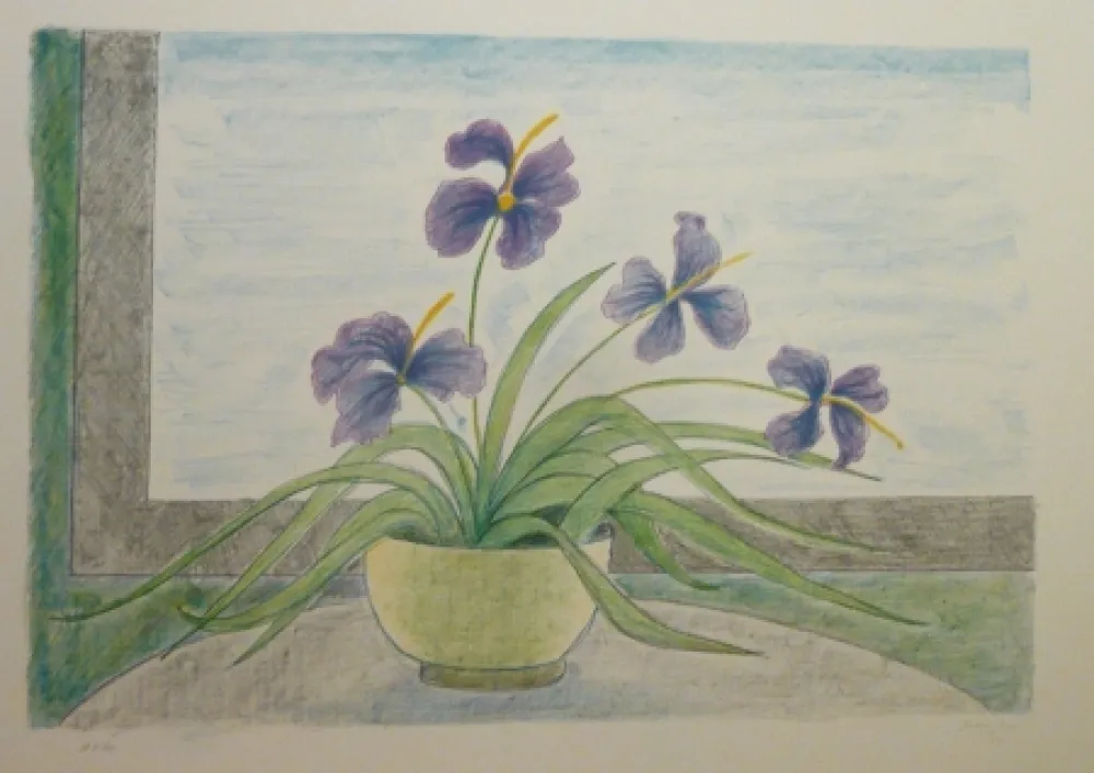 Lithografie Girona - BOL I ILLIRS