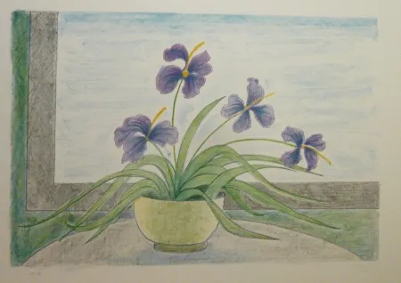 Lithografie Girona - BOL I ILLIRS