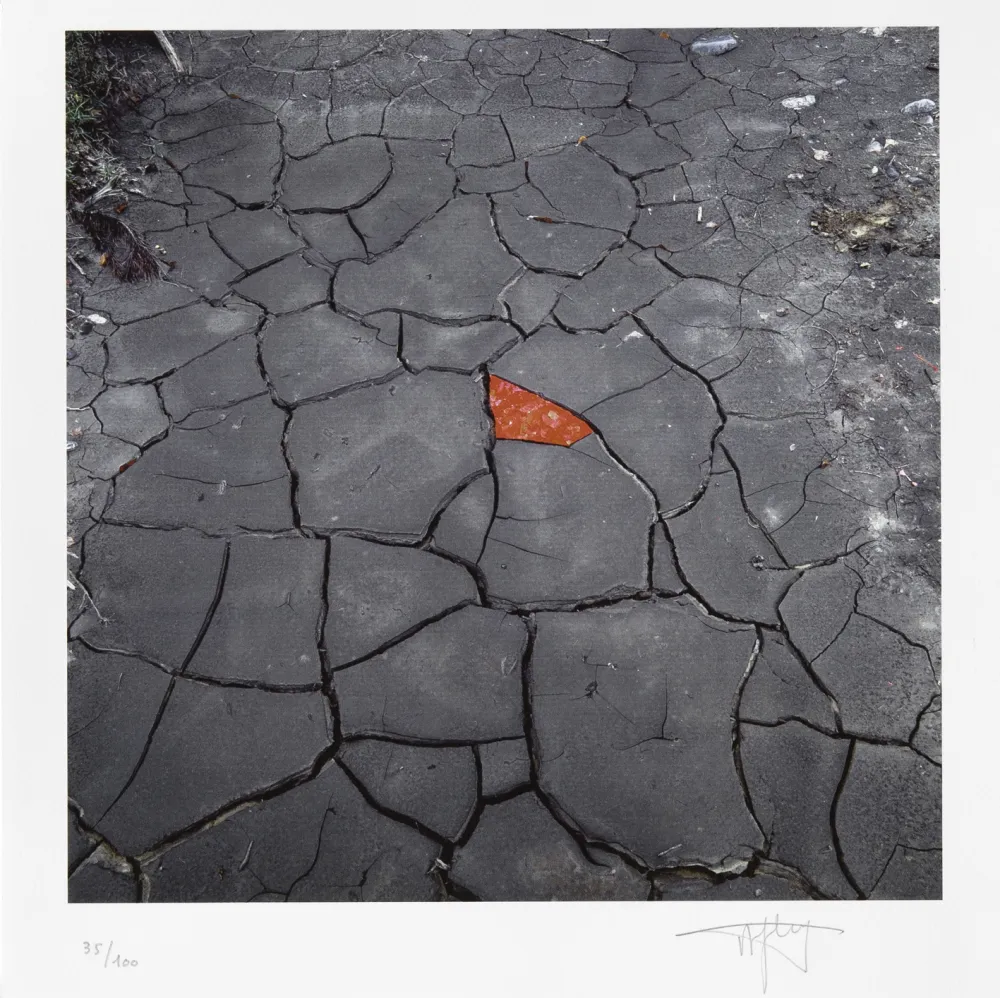 Digitale Print Goldsworthy - Red Leaves on Cracked earth