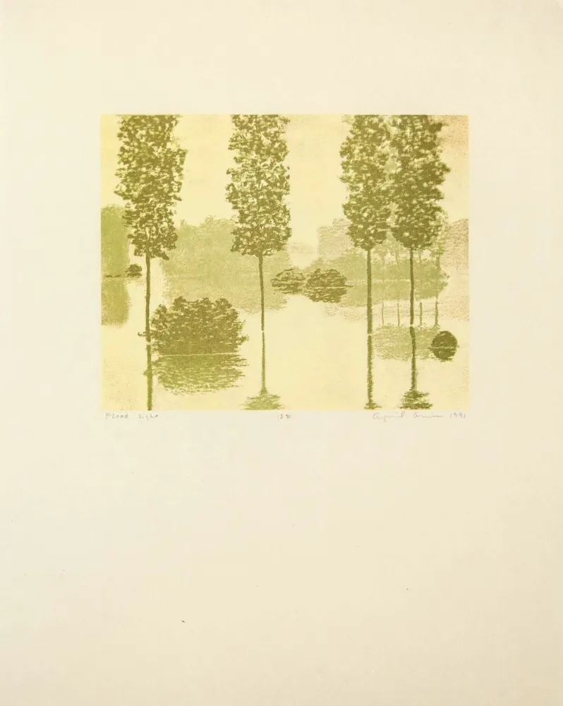 Reliëf Gornick - Flood Light, from Art Pro-Choice II