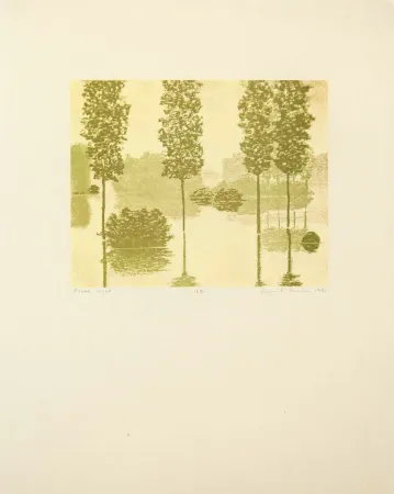 Reliëf Gornick - Flood Light, from Art Pro-Choice II