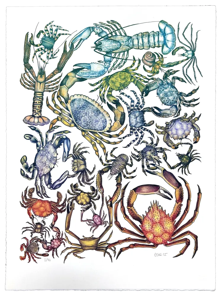 Lithografie Gosset - Prise de Pince 