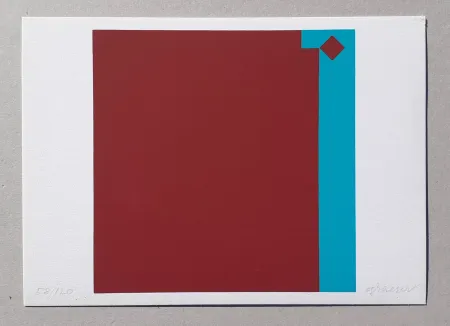 Zeefdruk Graeser - Caput Mortuum - Violett Grun 7:1