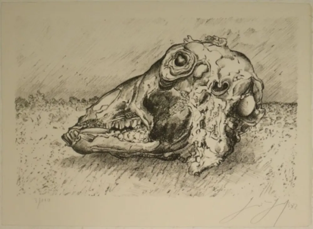 Lithografie Grass - Schafskopf.