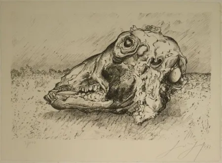 Lithografie Grass - Schafskopf.