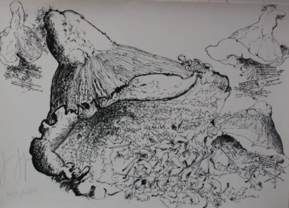 Lithografie Grass - Senza titolo