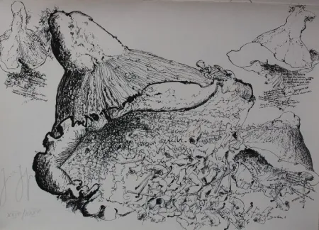 Lithografie Grass - Senza titolo