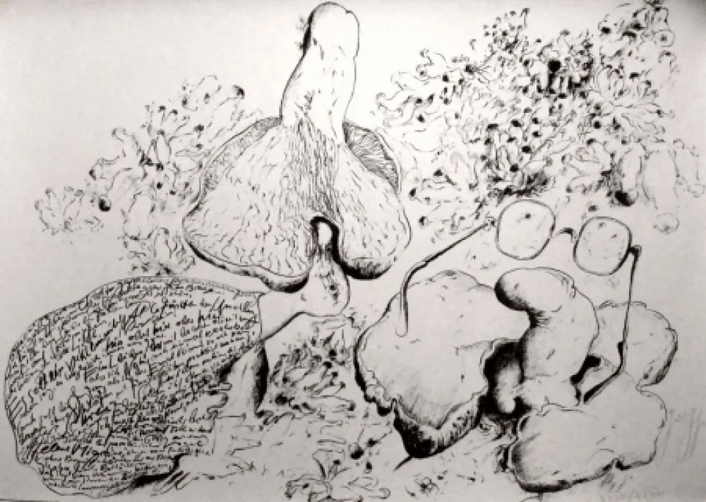 Lithografie Grass - Senza titolo