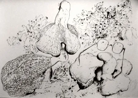 Lithografie Grass - Senza titolo