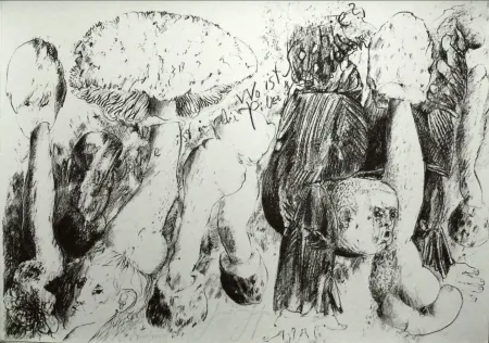 Lithografie Grass - Senza titolo