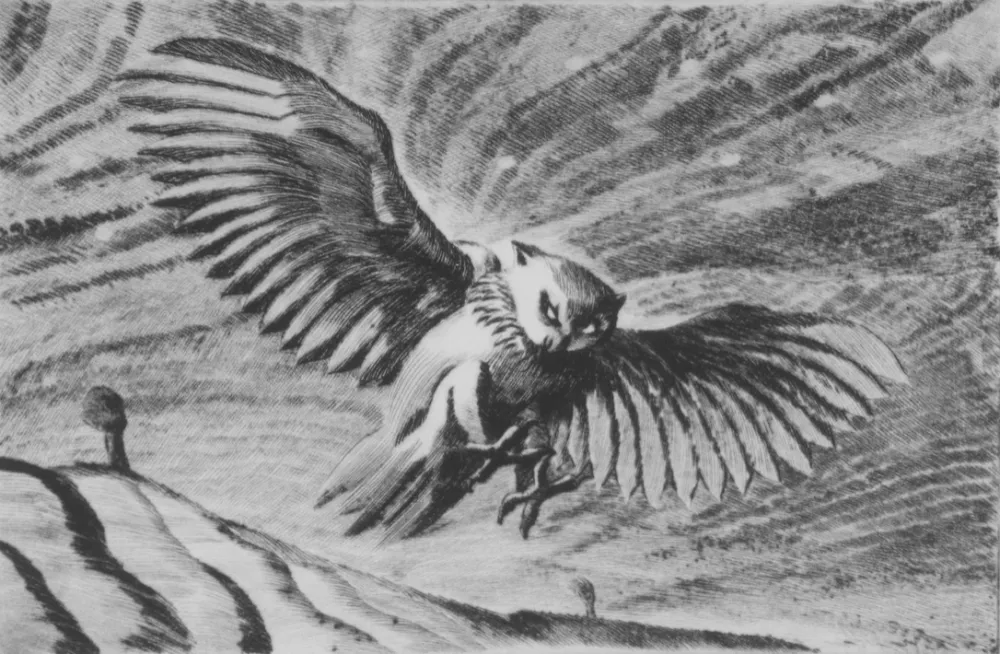 Droge Naald Grasselli - Verso la notte