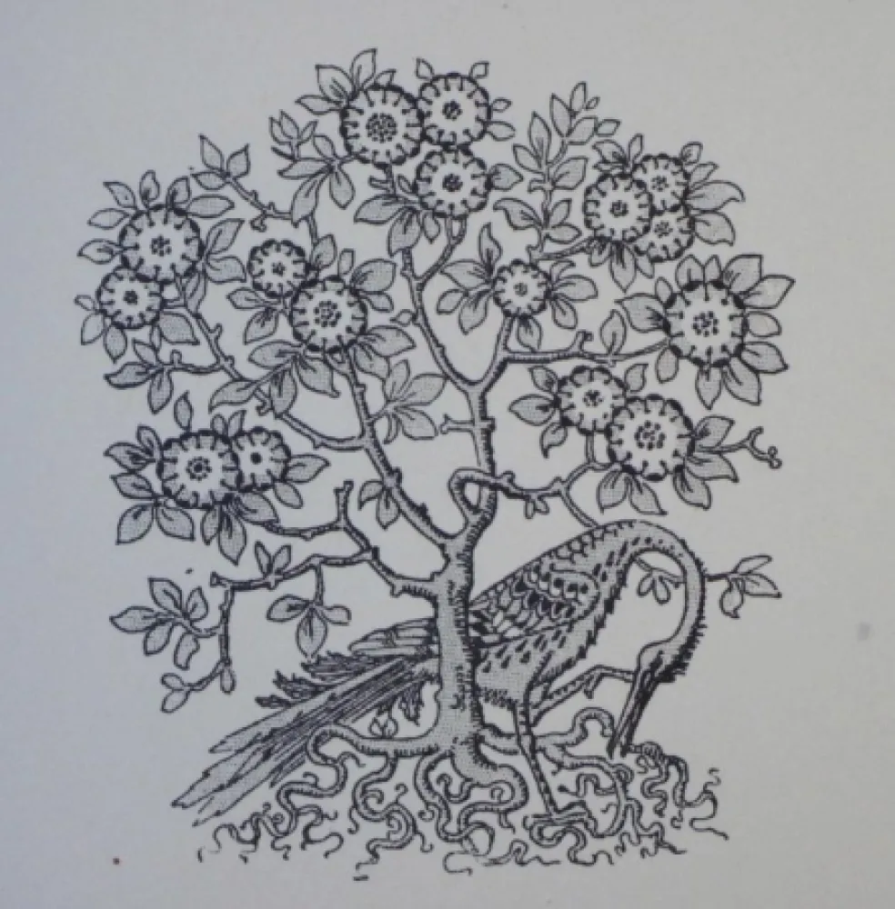 Houtsnede Grasset - Ornements typographiques