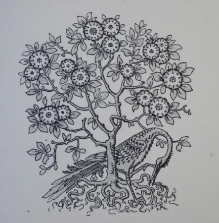 Houtsnede Grasset - Ornements typographiques