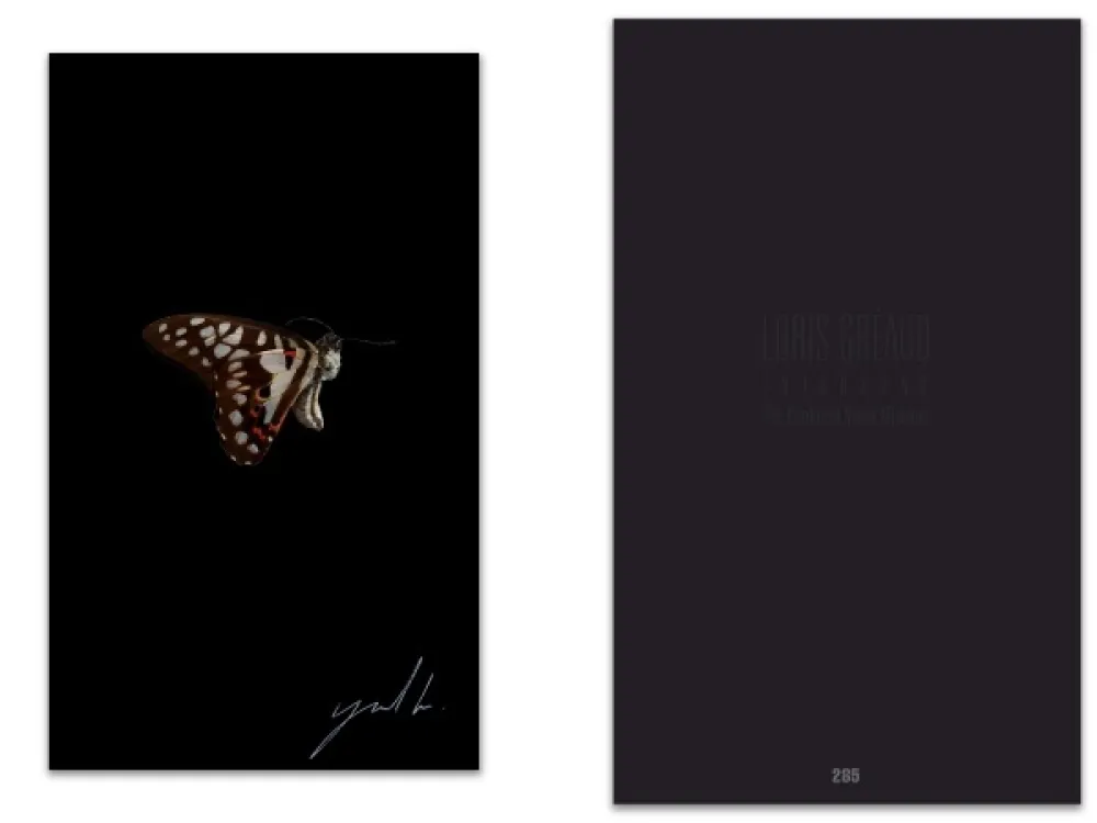 Geïllustreerd Boek Greaud - L'art en écrit