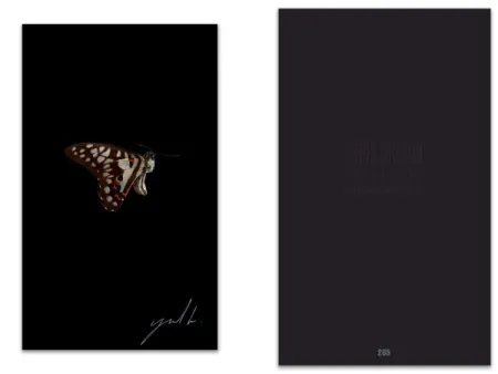 Geïllustreerd Boek Greaud - L'art en écrit