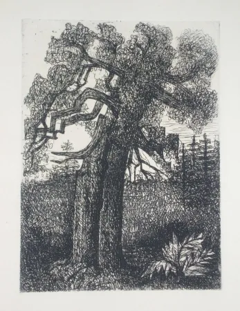 Droge Naald Gromaire - Le chêne