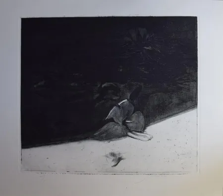 Ets En Aquatint Guccione - Ibiscus