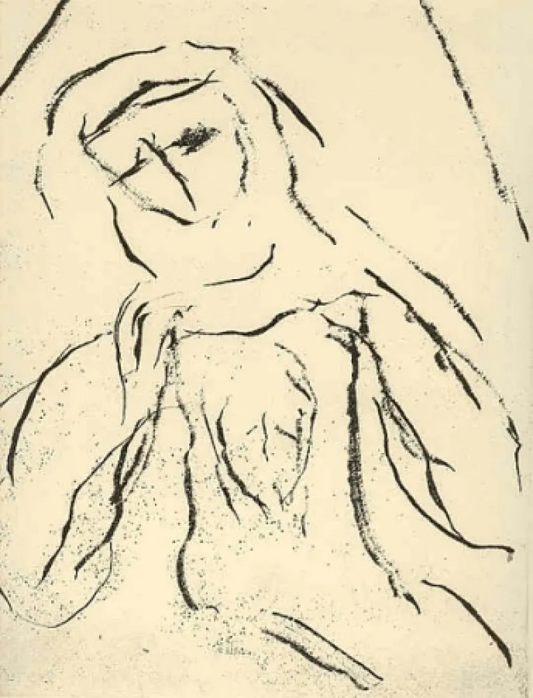 Geïllustreerd Boek Guidi - Le voile de Véronique