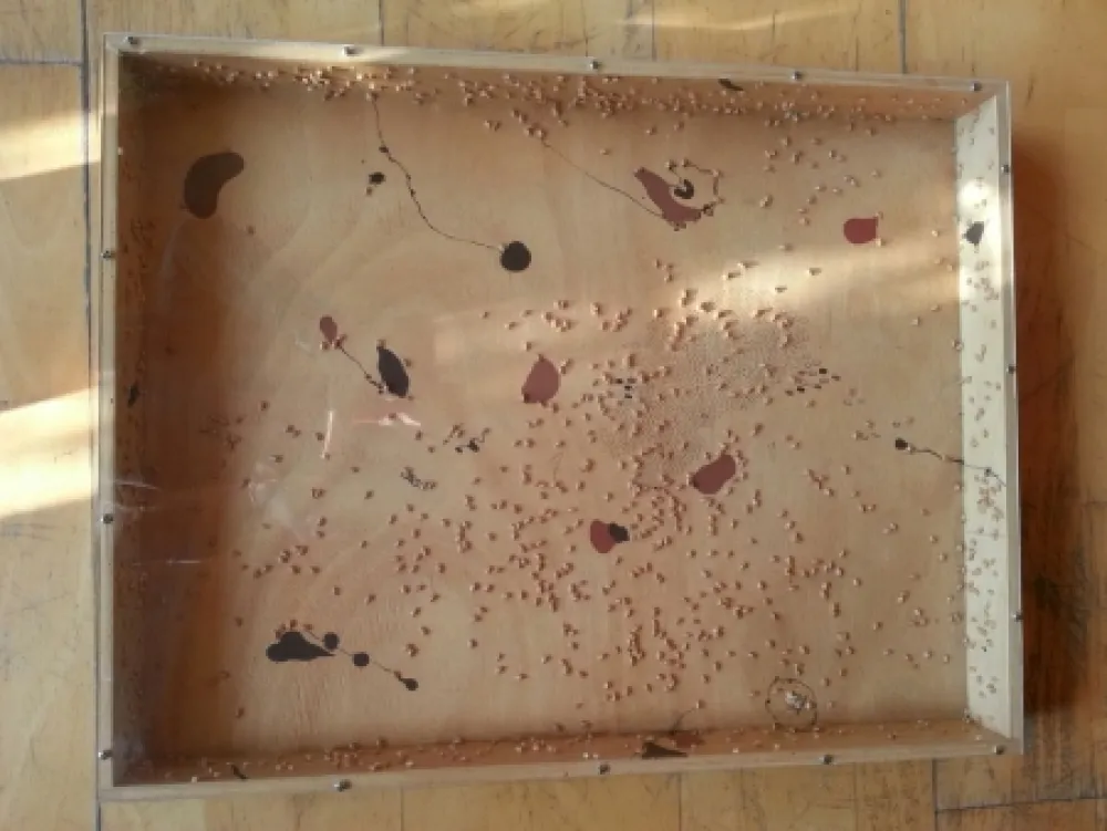 Geen Techniek Guinovart - Blat i coses 8