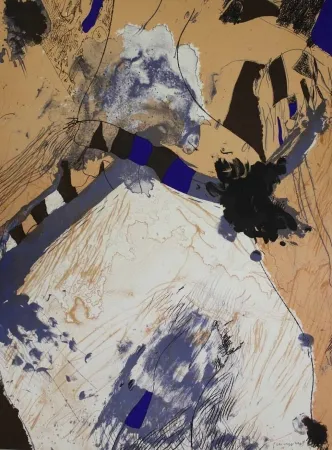 Lithografie Guinovart - Com muntanya