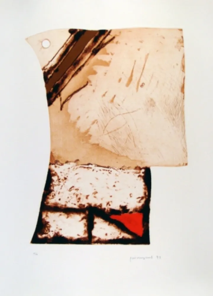 Ets Guinovart - Imatges i Terra III