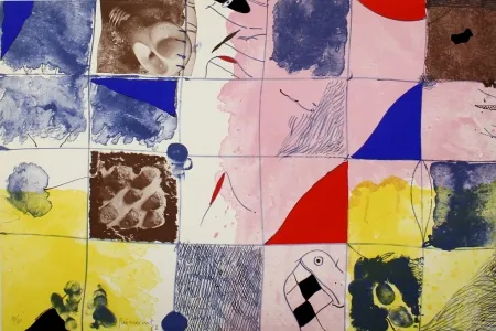 Lithografie Guinovart - Joc a terra