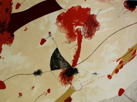 Lithografie Guinovart - Natu