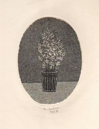 Geïllustreerd Boek Gulino - Canti