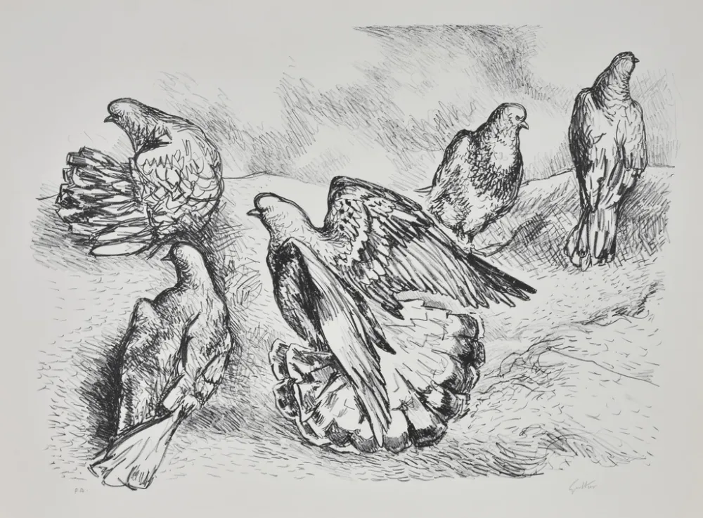 Lithografie Guttuso - Colombe