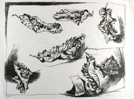 Lithografie Guttuso - Foglie