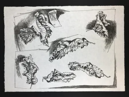 Lithografie Guttuso - Foglie