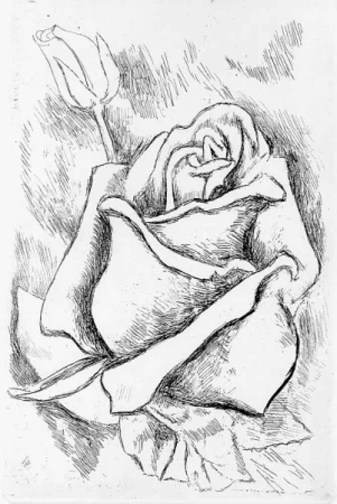 Geïllustreerd Boek Guttuso - Gli anni delle immagini perdute