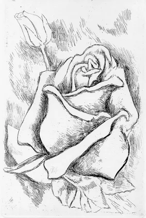 Geïllustreerd Boek Guttuso - Gli anni delle immagini perdute