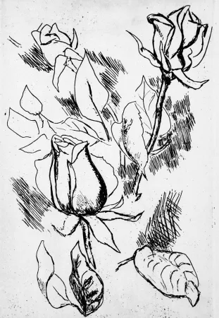 Geïllustreerd Boek Guttuso - Gli anni delle immagini perdute