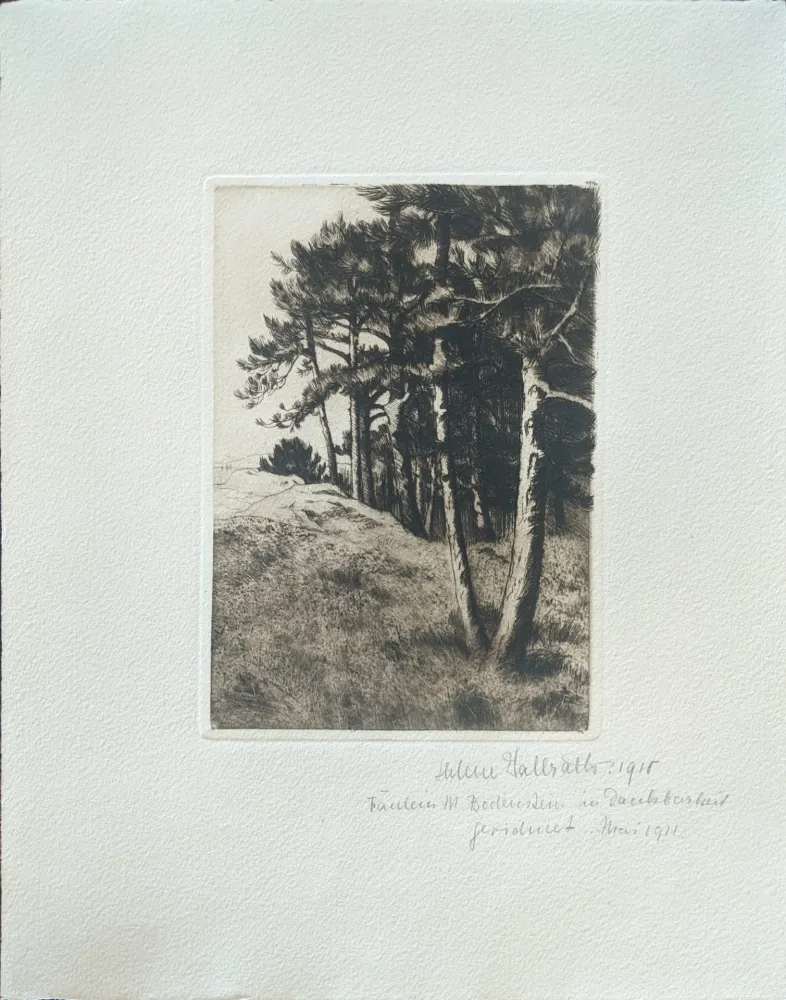 Droge Naald Haasbauer-Wallrath - Untitled (Kiefern am Waldrand)