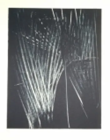 Lithografie Hartung - AL 5